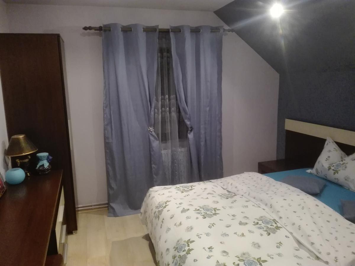 Casa De Vacanta Silvia Varmaga Номер фото