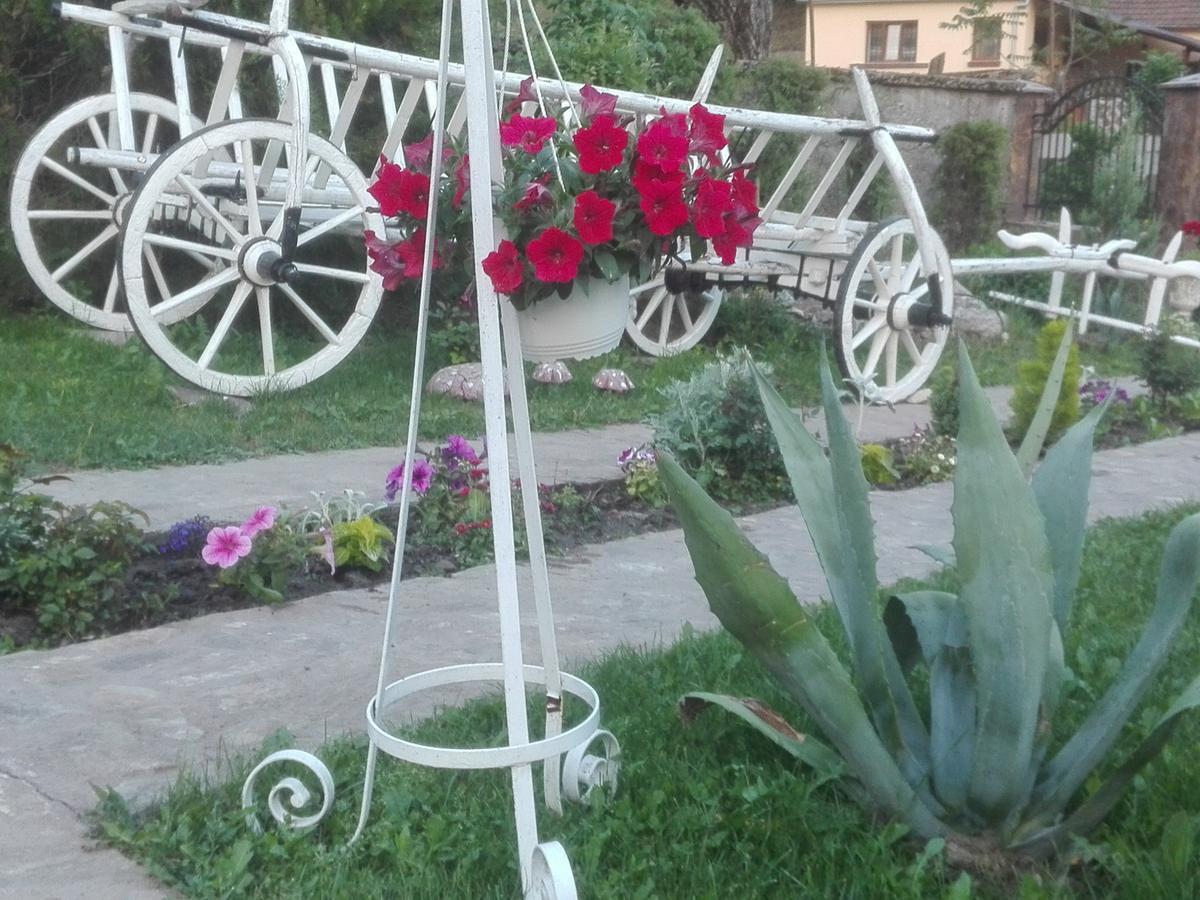 Casa De Vacanta Silvia Varmaga Екстер'єр фото
