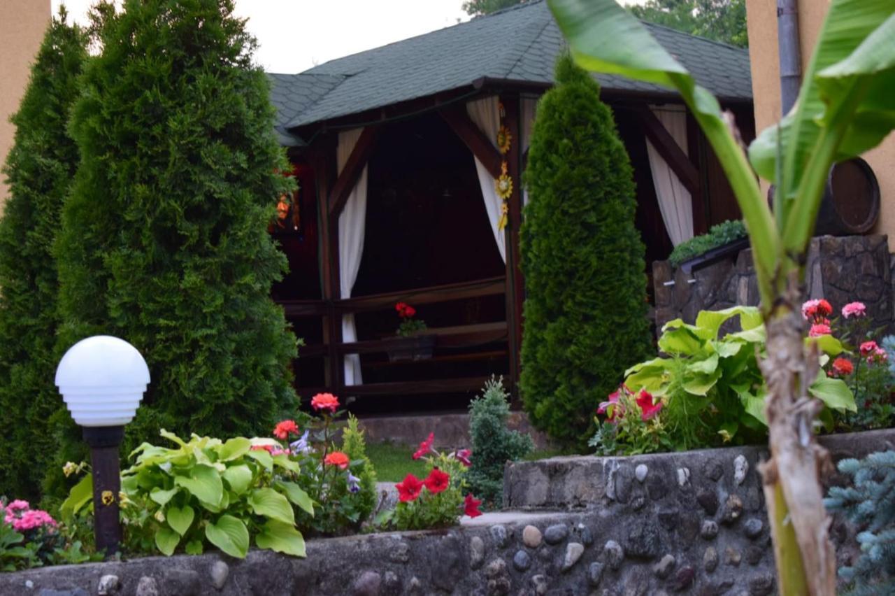 Casa De Vacanta Silvia Varmaga Екстер'єр фото