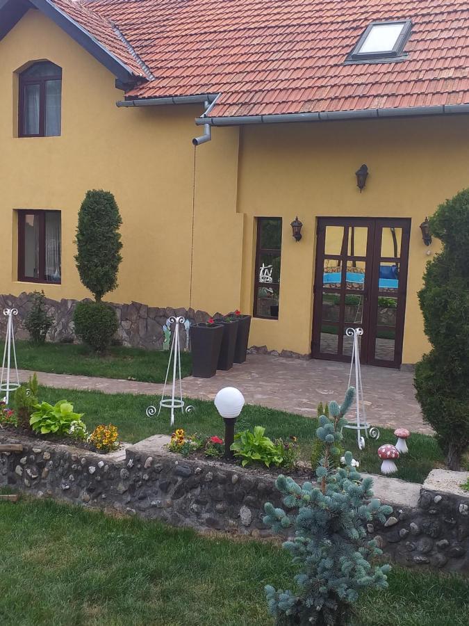 Casa De Vacanta Silvia Varmaga Екстер'єр фото